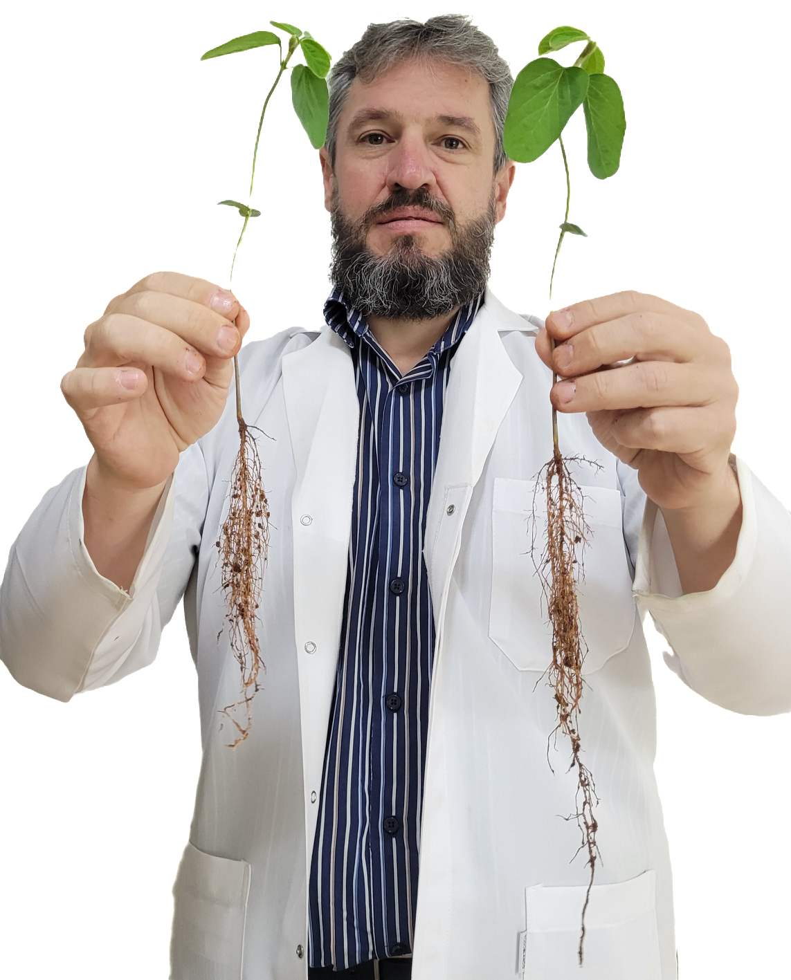 Dr. Ricardo Bagateli em atividade de pesquisa